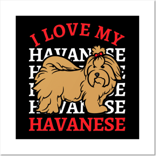 I love my Havanese Life is better with my dogs Dogs I love all the dogs Posters and Art